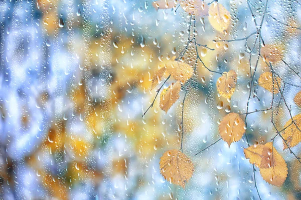 Abstracto Fondo Otoño Gotas Vidrio Otoño Amarillo Hojas Húmedo Octubre —  Fotos de Stock