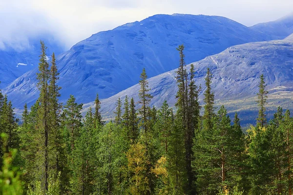 Herbst Taiga Waldlandschaft Blick Auf Die Natur Herbst Den Bergen — Stockfoto