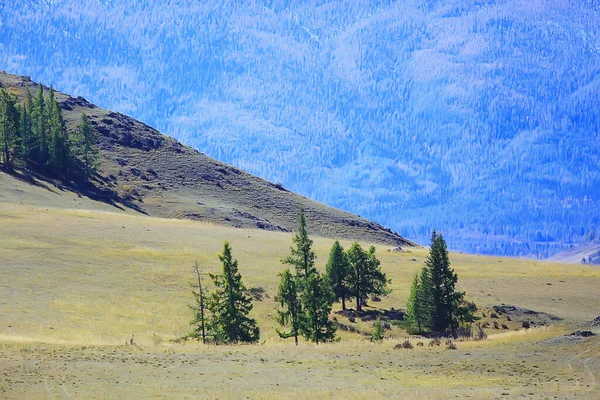 Altai Dağ Manzarası Panorama Sonbahar Manzarası Arka Plan Sonbahar Doğa — Stok fotoğraf