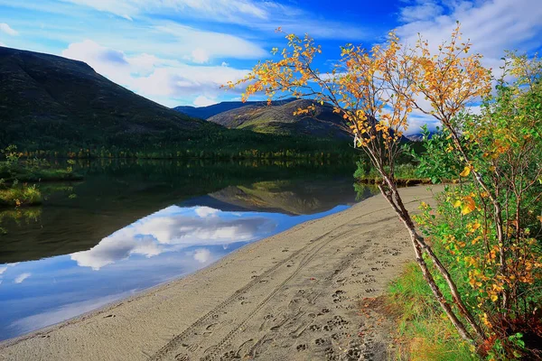 Outono Taiga Floresta Paisagem Natureza Vista Queda Nas Montanhas — Fotografia de Stock