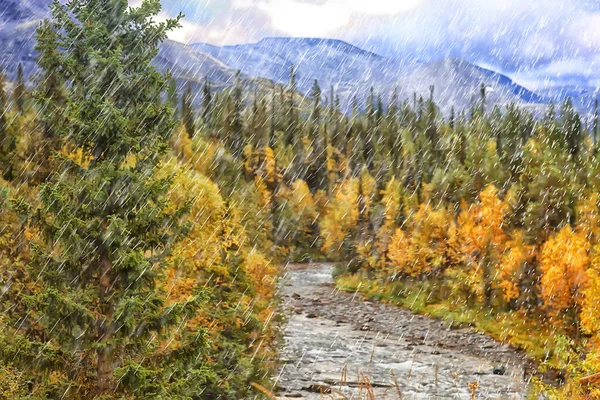 Otoño Paisaje Naturaleza Lluvia Gotas Tiempo Húmedo Exterior Paisaje Vista — Foto de Stock