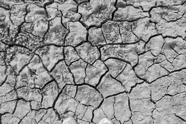 Textura Deserto Seca Fundo Abstrato Terra Rachado Aquecimento Global — Fotografia de Stock