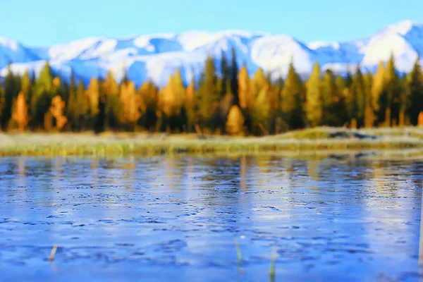 Paisaje Árboles Paisaje Otoñal Bosque Río Lago Vista Naturaleza Caída — Foto de Stock