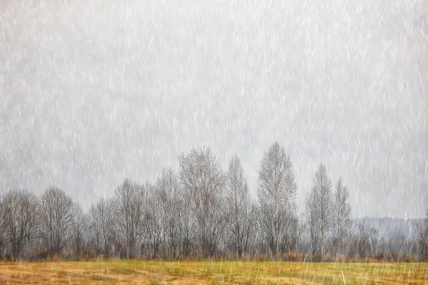 Herbst Landschaft Natur Regen Tropfen Wetter Nass Outdoor Landschaft Ansicht — Stockfoto