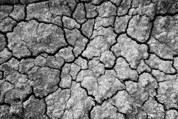 Texture Désert Sécheresse Fond Abstrait Terre Fissurée Réchauffement Planétaire — Photo