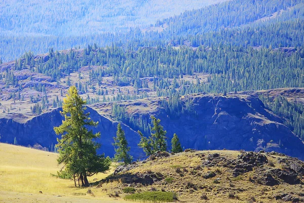 Altai Paesaggio Montano Panorama Autunno Paesaggio Sfondo Caduta Vista Natura — Foto Stock