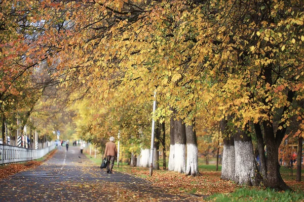 Alley Autumn Park Landscape Fall Yellow Road Seasonal Landscape October — Stock Photo, Image