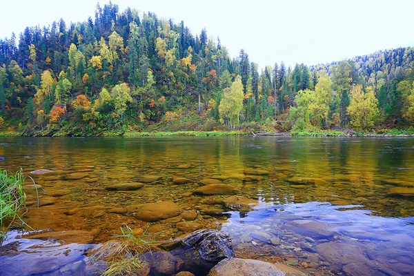 Scenic Árvores Paisagem Outono Floresta Rio Lago Natureza Vista Queda — Fotografia de Stock