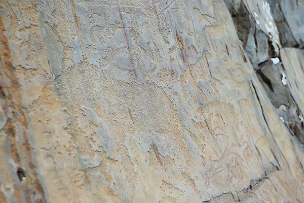 Petroglify Sztuka Prehistoryczna Kamieniu Epoka Kamienia Łupanego Altaiskie Góry Rosji — Zdjęcie stockowe