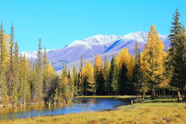 Scenic Árvores Paisagem Outono Floresta Rio Lago Natureza Vista Queda — Fotografia de Stock