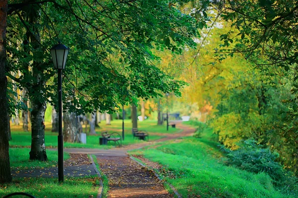 Steegje Herfst Park Landschap Vallen Gele Weg Seizoensgebonden Landschap Oktober — Stockfoto