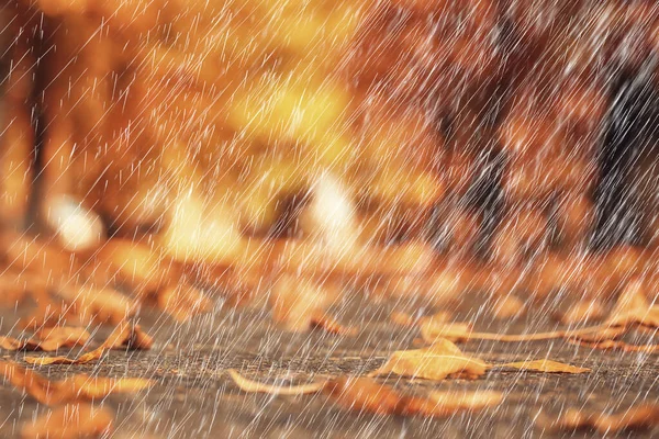 雨の背景秋の風景公園抽象的な季節の誰も天気10月の風景 — ストック写真