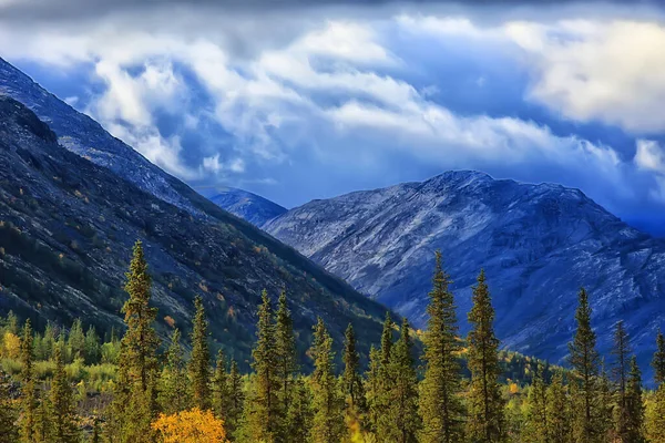 Forest Mountains Landscape Beautiful Green Nature Summer Background Forest — Stock Photo, Image