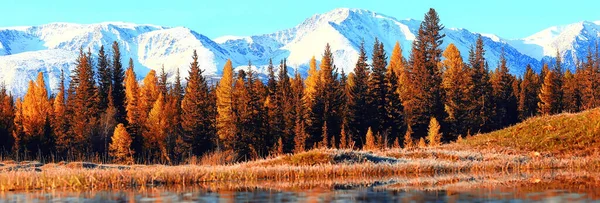 Höst Skog Berg Panorama Landskap Träd Natur Gul Säsong — Stockfoto