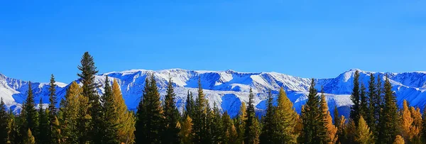 Höst Skog Berg Panorama Landskap Träd Natur Gul Säsong — Stockfoto