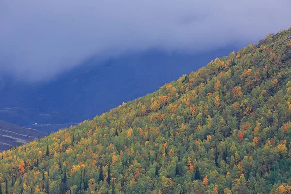 Sonbahar Taiga Orman Manzarası Doğa Manzarası Dağlara Düşüyor — Stok fotoğraf