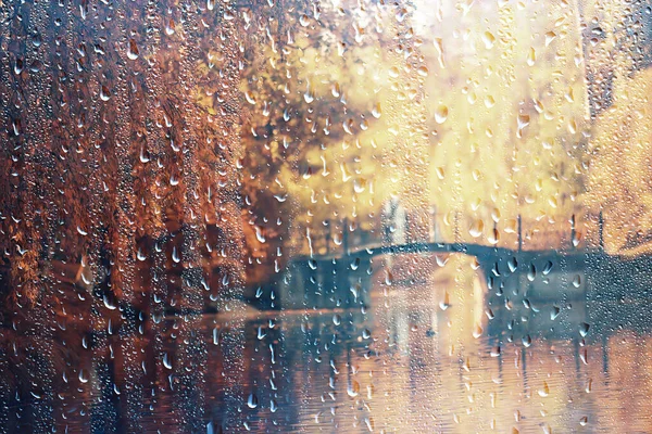 Regen Hintergrund Herbst Landschaftspark Abstrakt Saisonal Niemand Wetter Oktober Landschaft — Stockfoto