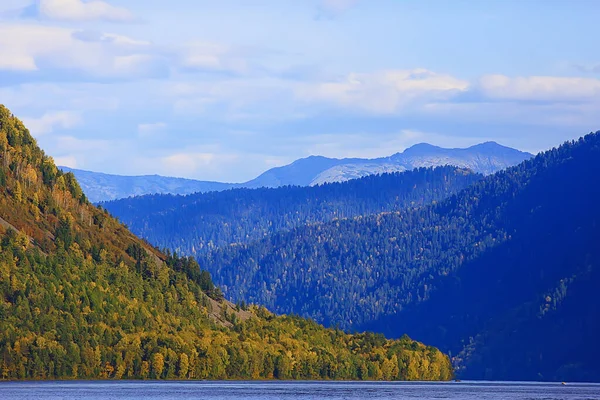 Skog Bergen Landskap Vacker Grön Natur Sommar Bakgrund Skog — Stockfoto