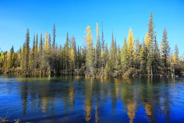 Мальовничі Осінні Пейзажі Лісові Річки Озеро Вид Природу Падаючий Фон — стокове фото