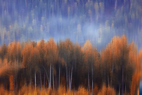 Sfondo Sfocato Autunno Natura Paesaggio Astratto Sfocatura Bokeh Vista Alberi — Foto Stock