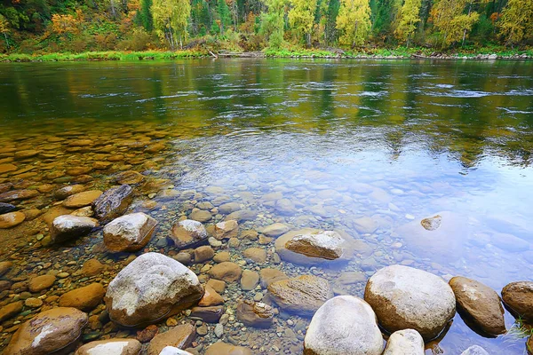 Paisaje Árboles Paisaje Otoñal Bosque Río Lago Vista Naturaleza Caída — Foto de Stock