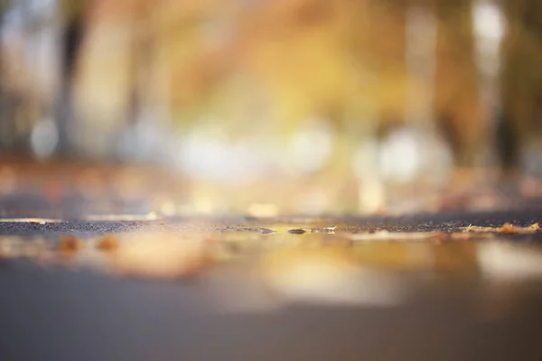 Abstrato Desfocado Outono Fundo Parque Cidade Queda Natureza Outubro — Fotografia de Stock
