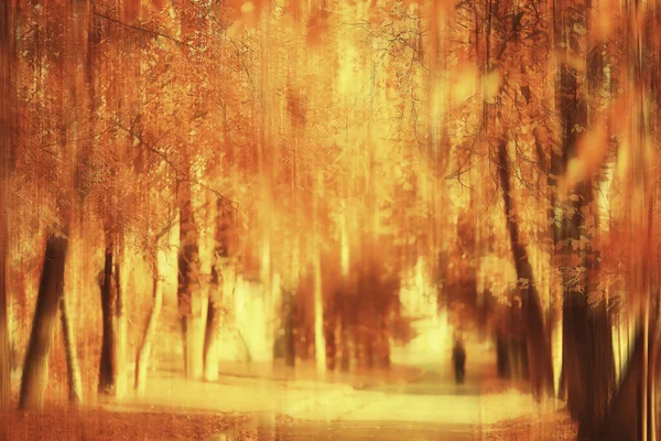 Zonnig Landschap Herfstpark Achtergrond Herfstseizoen Oranje Park — Stockfoto