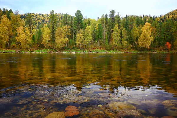 Scenic Autumn Landscape Trees Forest River Lake Nature View Fall — Stock Photo, Image