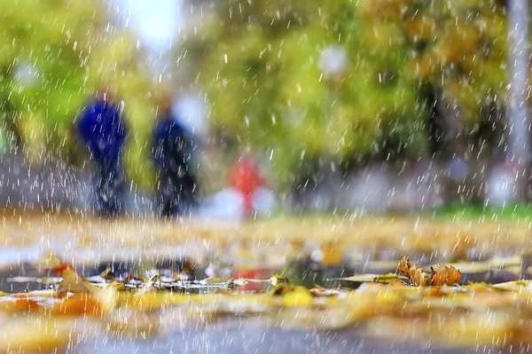 Regen Hintergrund Herbst Landschaftspark Abstrakt Saisonal Niemand Wetter Oktober Landschaft — Stockfoto