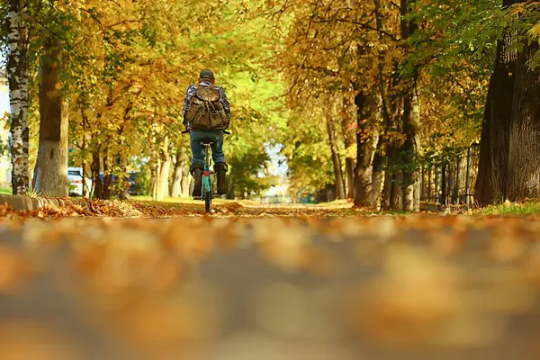 秋天公园小巷景观 秋天黄道带季节景观在10月份的城市 — 图库照片
