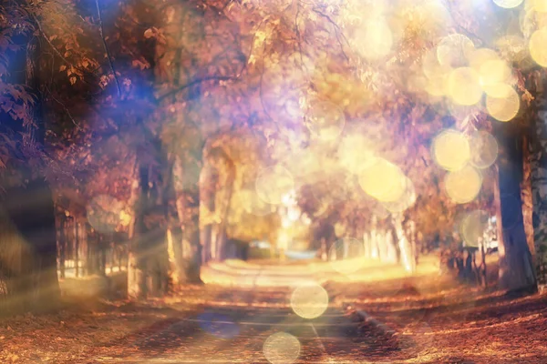 抽象的なぼやけた秋の背景公園都市の秋の自然10月 — ストック写真