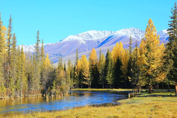 Paysage Pittoresque Automne Arbres Forêt Rivière Lac Vue Sur Nature — Photo