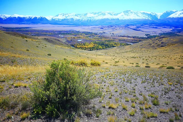 Altai Bergslandskap Panorama Höst Landskap Bakgrund Falla Natur Utsikt — Stockfoto