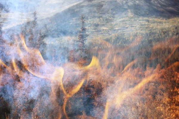 Lesní Požár Pozadí Krajina Abstraktní Požár Kouř Lese Sucho Stromy — Stock fotografie