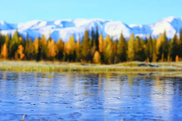 Herbst Taiga Waldlandschaft Blick Auf Die Natur Herbst Den Bergen — Stockfoto