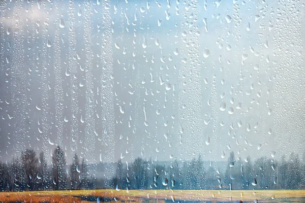 秋景天然雨滴天气潮湿户外景观秋景 — 图库照片