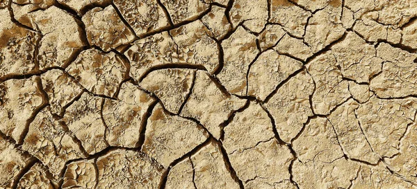 Texture Deserto Siccità Fondo Astratto Terra Incrinato Riscaldamento Globale — Foto Stock