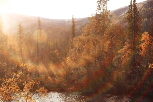 Abstraktní Krajina Pozadí Podzim Slunce Odraz Bokeh Pohled Slunce Pozadí — Stock fotografie