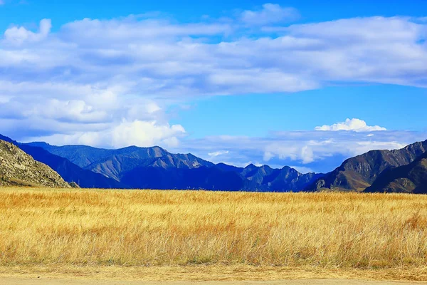 Altai Hora Krajina Hory Pozadí Pohled Panorama — Stock fotografie