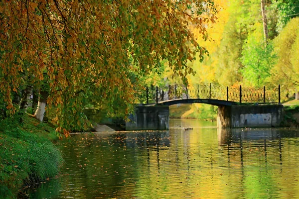市内中心部の公園の秋の風景池 美しい秋の風景自然 — ストック写真