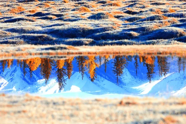 Altai Ορεινό Τοπίο Πανόραμα Φόντο Φθινοπωρινό Τοπίο Θέα Στη Φύση — Φωτογραφία Αρχείου