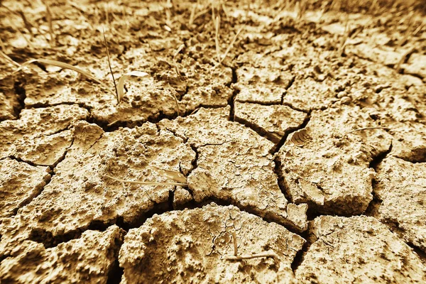 Siccità Nel Settore Agricolo Problema Calore Terra Incrinata — Foto Stock