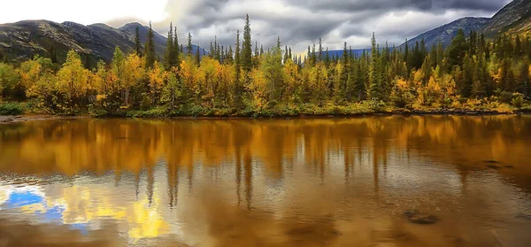 秋天的针叶林景观 自然景观落在山中 — 图库照片