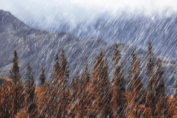 autumn landscape nature rain drops weather wet outdoor landscape view autumn weather