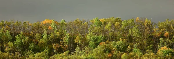 Otoño Taiga Bosque Paisaje Naturaleza Vista Caer Las Montañas — Foto de Stock