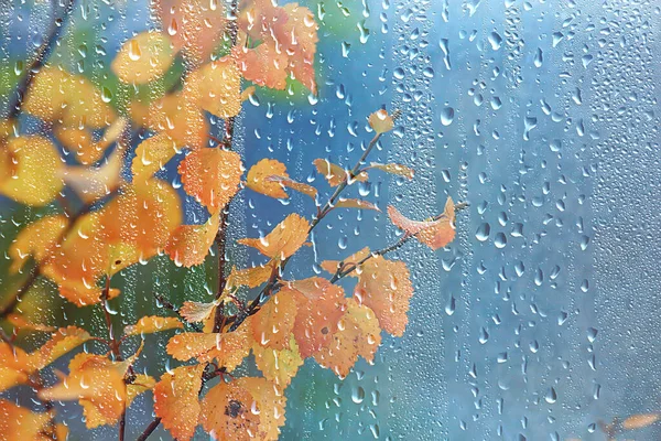 Abstracto Fondo Otoño Gotas Vidrio Otoño Amarillo Hojas Húmedo Octubre —  Fotos de Stock