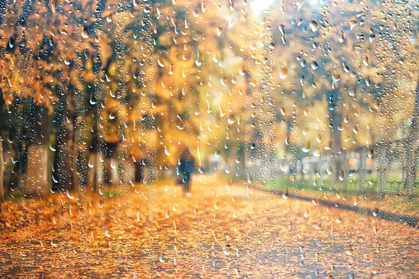 雨の背景秋の風景公園抽象的な季節の誰も天気10月の風景 — ストック写真