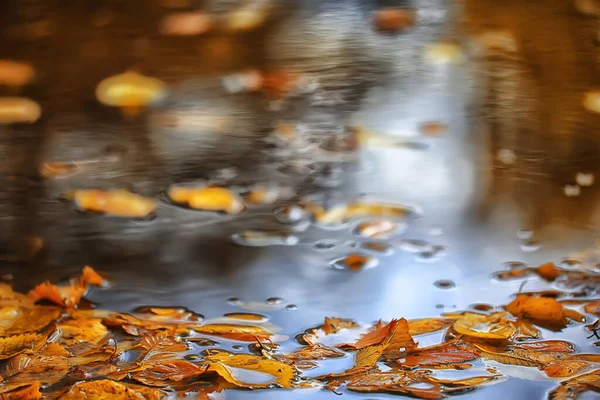 抽象的な秋の背景は黄色の自然を残します10月の壁紙季節 — ストック写真