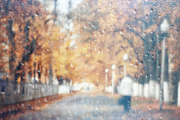 Deszcz Tło Jesień Krajobraz Park Abstrakcyjny Sezonowe Nikt Pogoda Październik — Zdjęcie stockowe