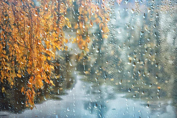 Abstracto Fondo Otoño Gotas Vidrio Otoño Amarillo Hojas Húmedo Octubre — Foto de Stock